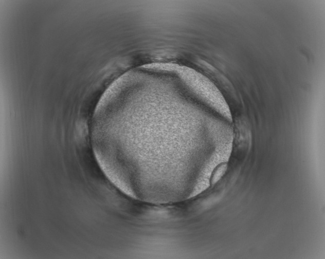 X0000113330523200910051149