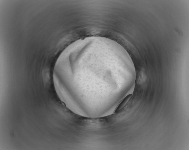X0000113330524200910051149