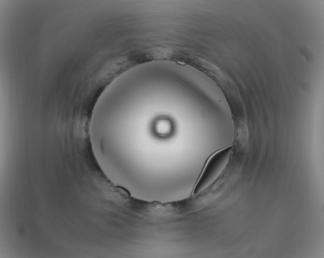X0000113330525200910051149
