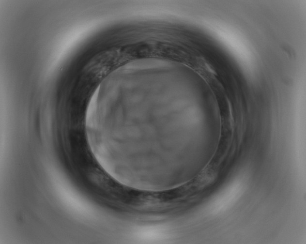 X0000113330526200910051149