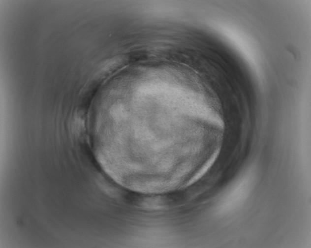 X0000113330527200910051149