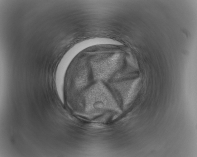 X0000113330528200910051148