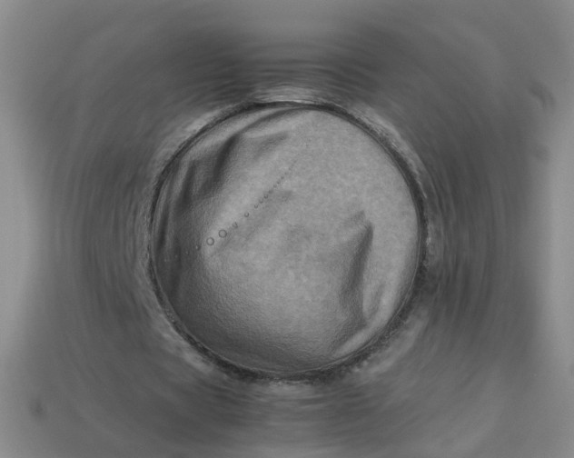 X0000113330529200910051148