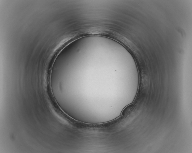 X0000113330530200910051148