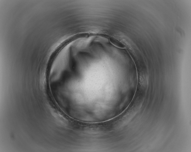 X0000113330532200910051148
