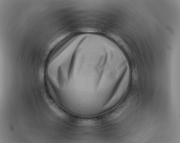 X0000113330533200910051148