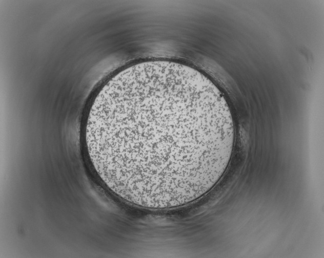 X0000113330534200910051148