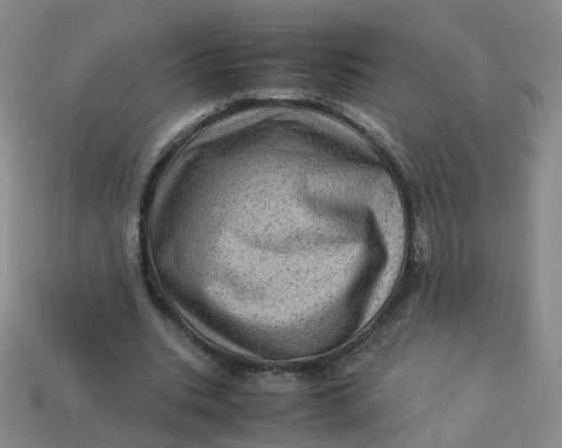 X0000113330535200910051148