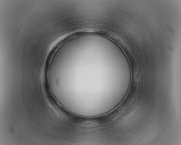 X0000113330536200910051148