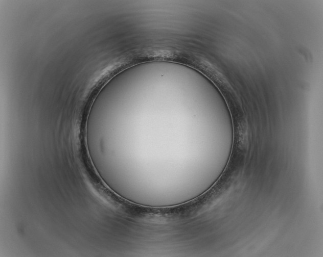 X0000113330538200910051148