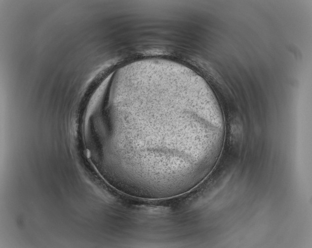 X0000113330539200910051148