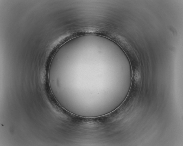 X0000113330540200910051148