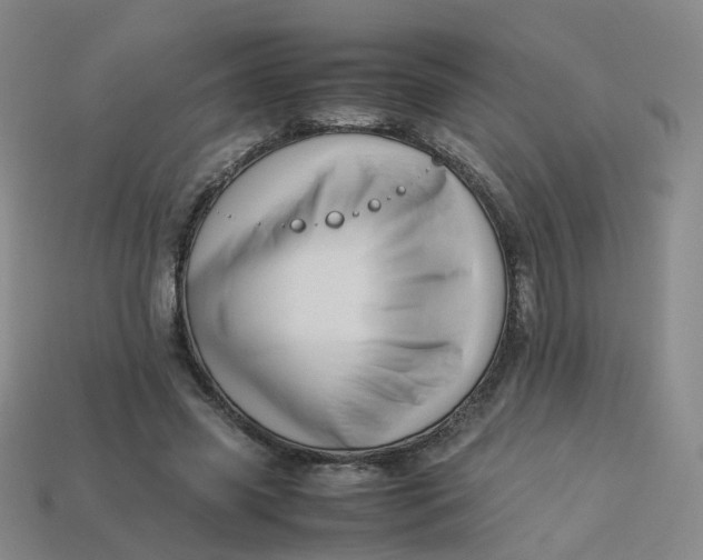 X0000113330541200910051148