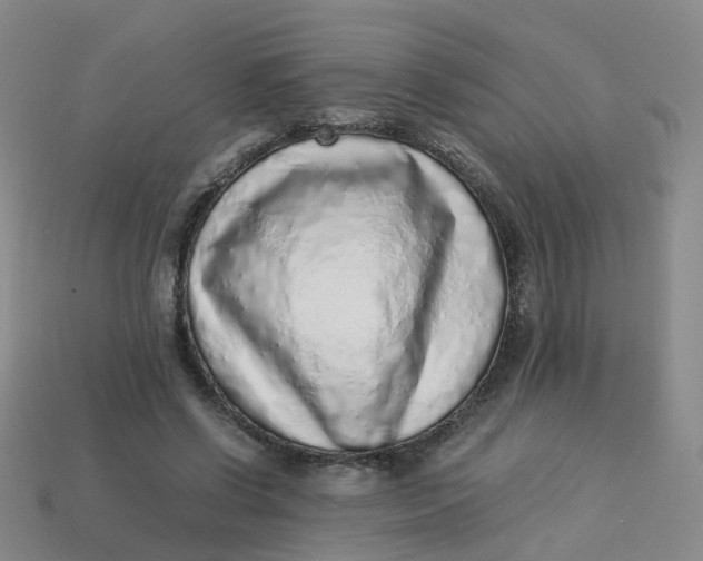X0000113330542200910051148