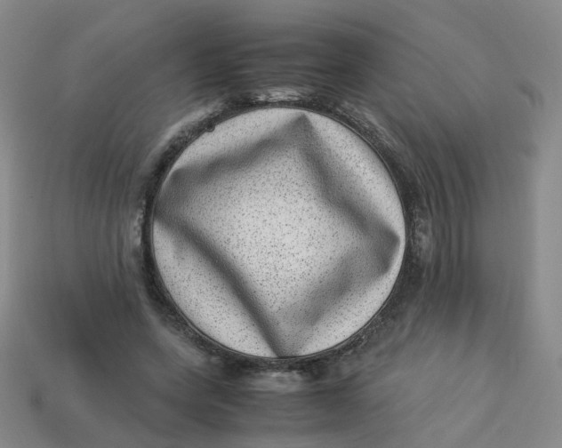 X0000113330543200910051148