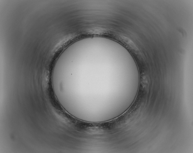 X0000113330544200910051148