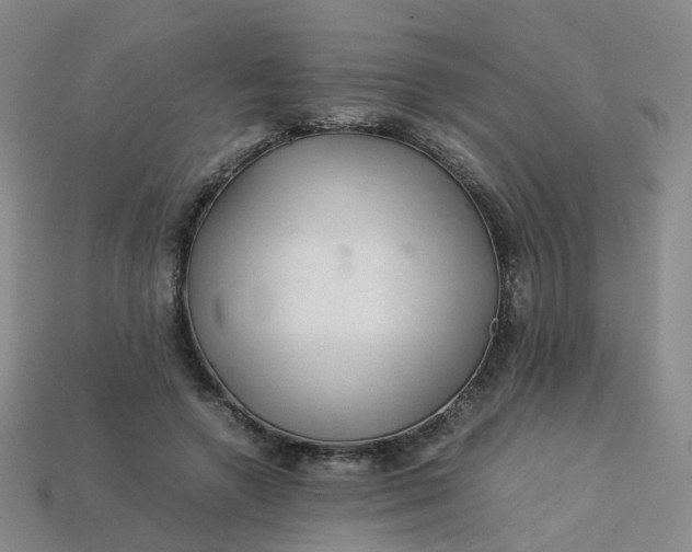 X0000113330546200910051148
