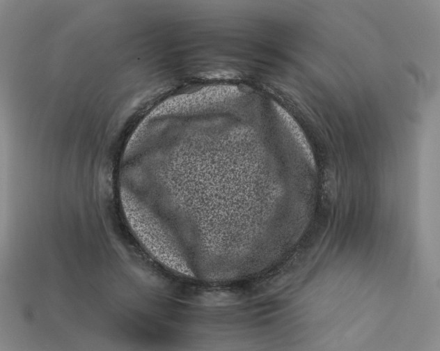 X0000113330547200910051148