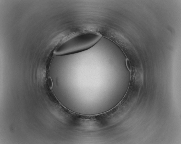 X0000113330548200910051148