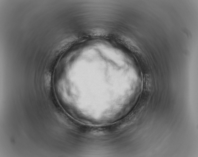 X0000113330550200910051148
