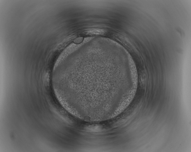 X0000113330551200910051148