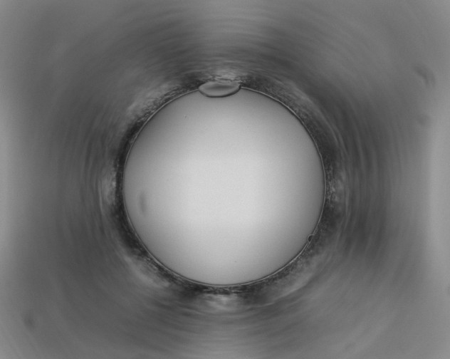 X0000113330552200910051148