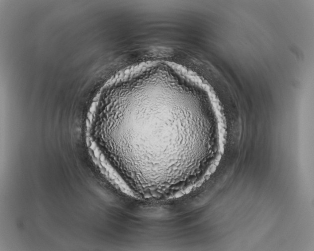 X0000113330553200910051148
