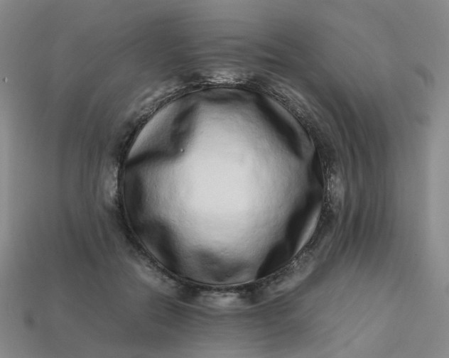X0000113330554200910051148