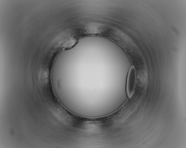 X0000113330556200910051148