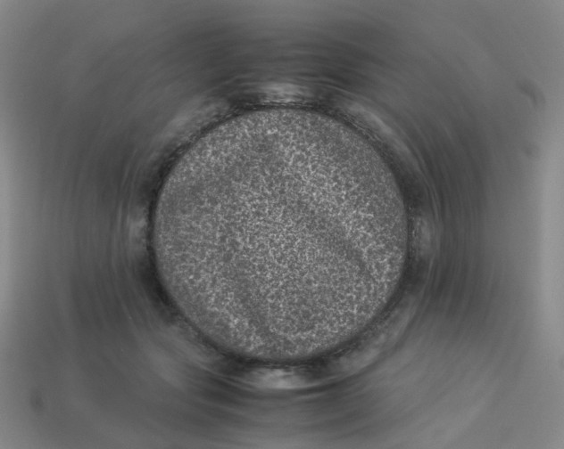 X0000113330557200910051148