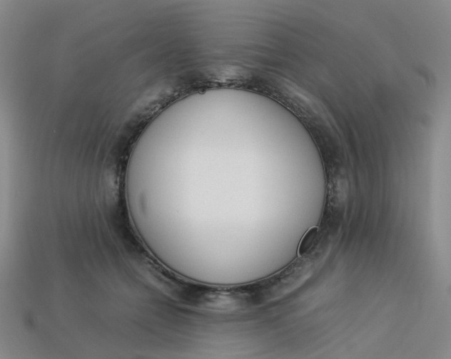 X0000113330558200910051148