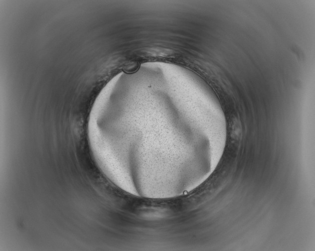 X0000113330559200910051148