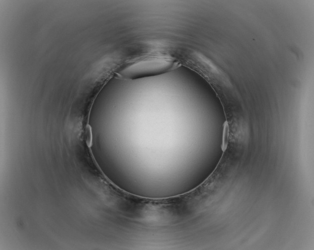 X0000113330560200910051148