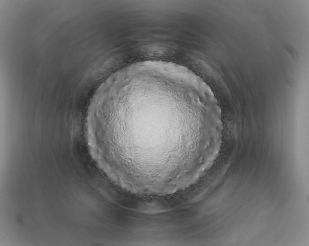 X0000113330561200910051148