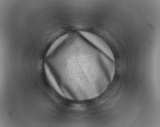 X0000113330563200910051148