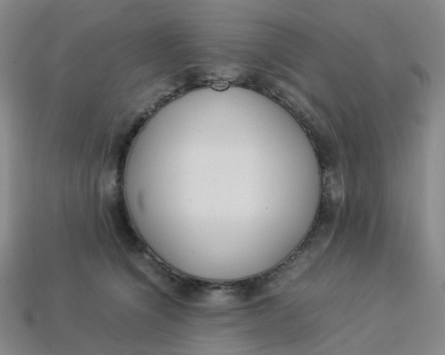 X0000113330564200910051148