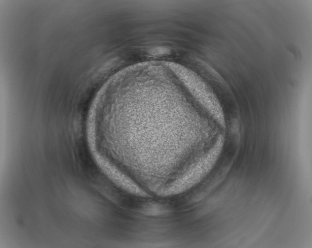 X0000113330565200910051148