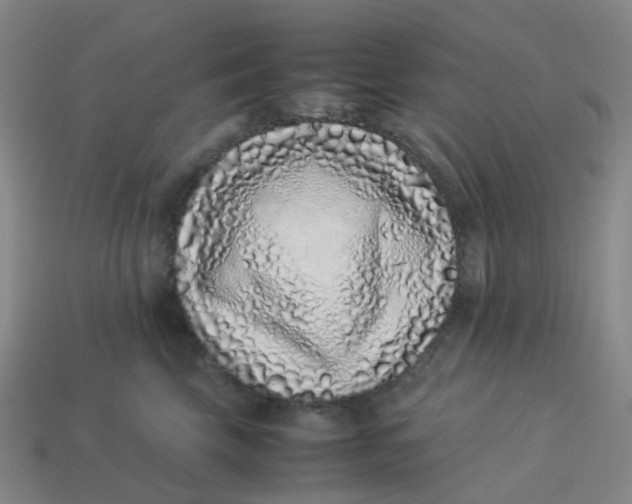 X0000113330569200910051148