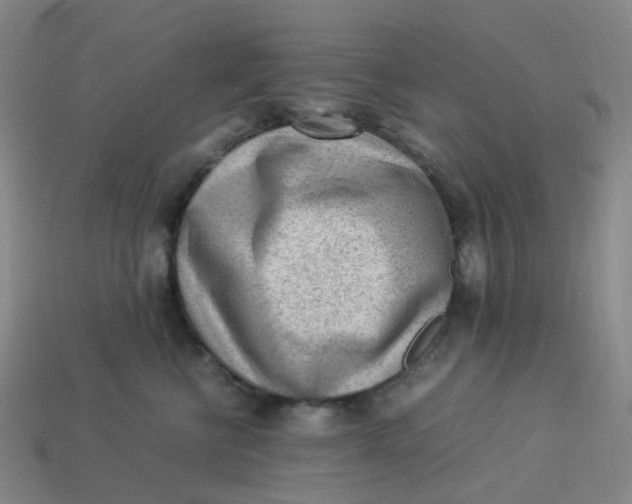 X0000113330570200910051148