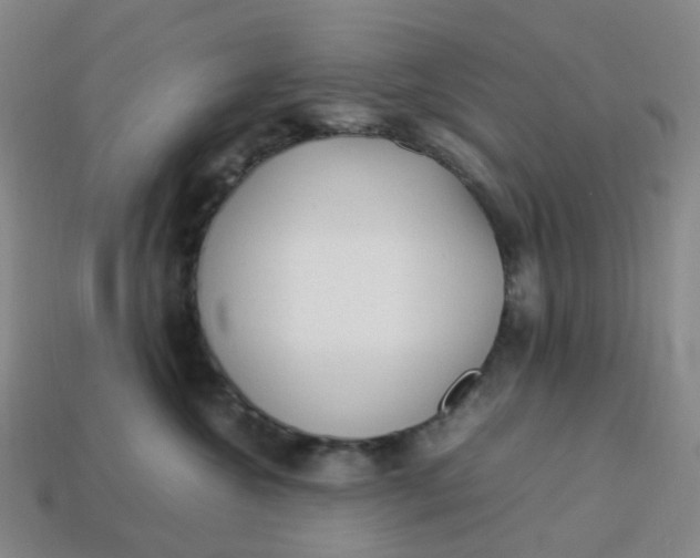 X0000113330572200910051148