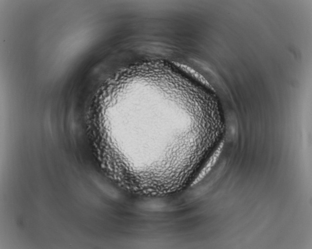 X0000113330573200910051148