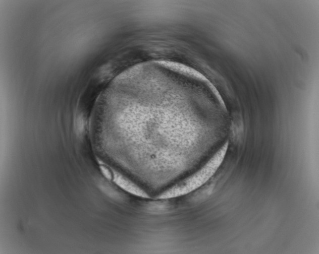 X0000113330574200910051148