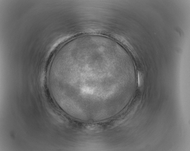 X0000113330579200910051148