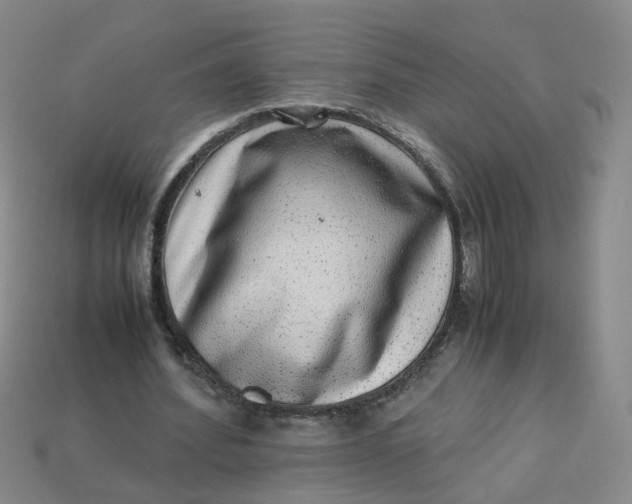 X0000113330580200910051148