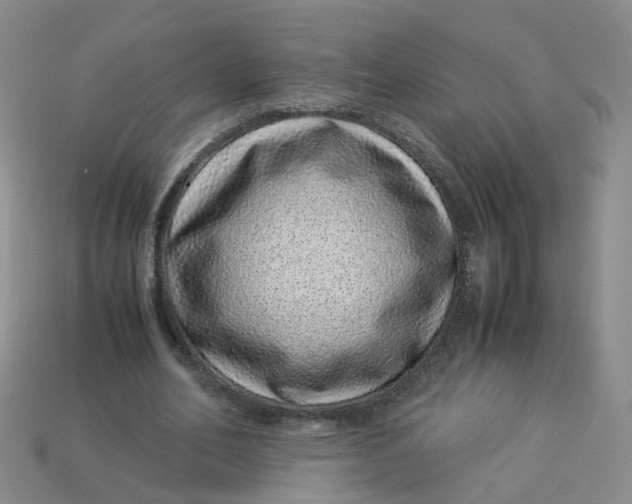 X0000113330582200910051148