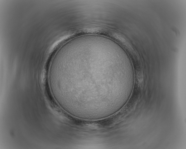 X0000113330583200910051148