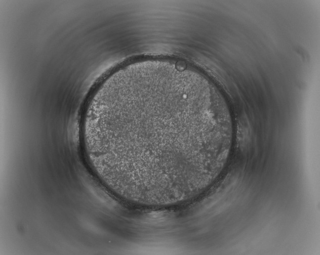 X0000113330584200910051148