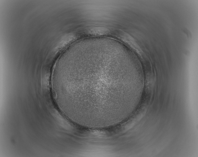 X0000113330585200910051148