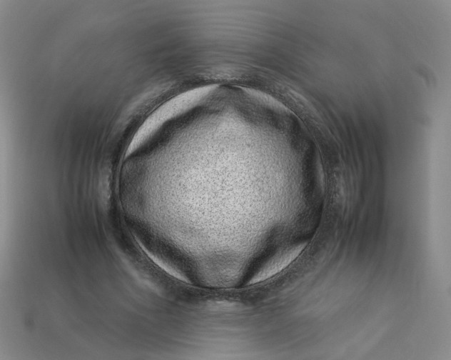 X0000113330586200910051148