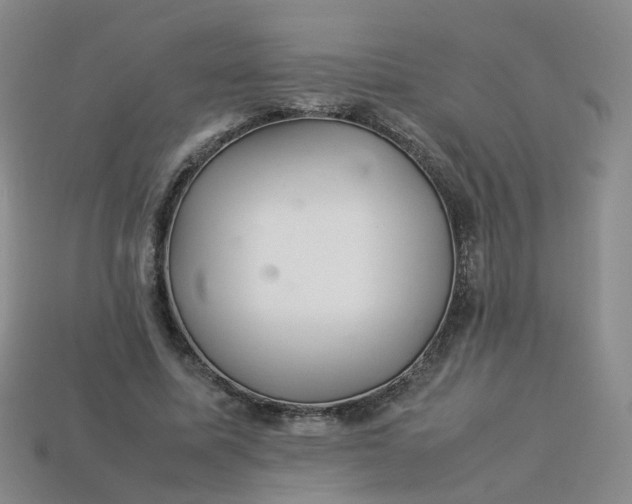 X0000113330587200910051148